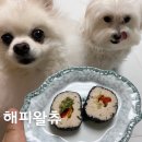 해피왈츄 이미지