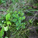 제주 물장오리오름 이미지