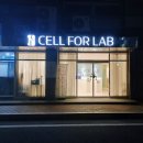 누워서 하는 포항다이어트 셀포랩 다온점에서 인바디 변화후기
