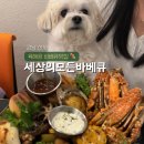 애견세상 | 신사 가로수길 애견동반 맛집| 세상의 모든 바베큐 내돈내산 솔직후기