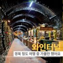 청도감마을 | 경북 청도 여행 중 꼭 들를만했던 와인터널 솔직 후기