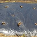 세실행정사사무소 이미지