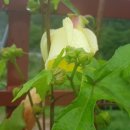 말래펜션 이미지