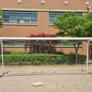 서울안천초등학교 이미지