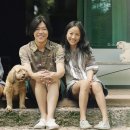 신흥민박 - 고흥군 신금길 38-9 | 신흥민박