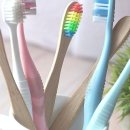 밝은미소약국 | 강남역교정치과가 알려주는 실속 있는 치아미백 가이드