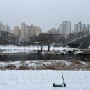 몽스김밥 이미지