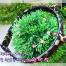 엔젤헤어아트 이미지