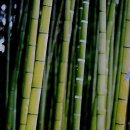 쏘울메이트(Soul mate) 이미지