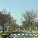 진주 1000cc 천씨씨 아메리카노와 아이스티 천원에 즐기세요