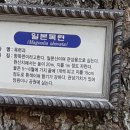 낙성대 공원 이미지