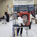 도듬애견미용학원