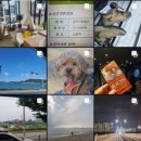 광주한우영농조합법인 이미지