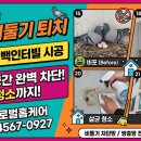 대백인터빌 | [대구 비둘기 퇴치] 수성구 대백인터빌 실외기 공간 완벽 차단 및 청소 시공 후기