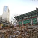 신덕8호 이미지