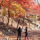 칠갑산자연휴양림 이미지