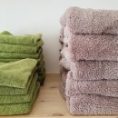 개아나유 이미지