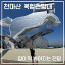 부산 서구 천마산 복합전망대｜대중교통 이용후기｜대원사 코스 추천