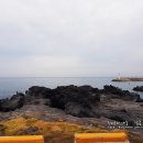 제주도 여행 후기 - 이호테우해변, 중엄리 새물