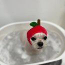 반자주 장산점 이미지