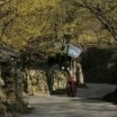 산수유국에 들다 / 문성해 이미지