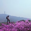부산 황령산~봉오리산~신선대~이기대~~1 이미지