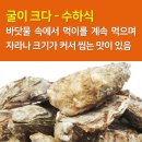 석화 이미지