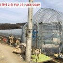 지방도905호선1 이미지