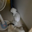 이안자미용실 - 화순군 중앙로 93-9 | 이안자미용실