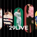 29 이미지