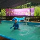 영월약수터 오토캠핑장 이미지