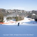 평창 알펜시아 리조트 스키장 렌탈샵 리프트권 할인 신상 의류 후기
