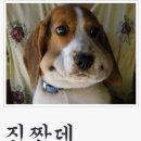 항방양꼬치 이미지
