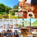 밀양금속 | [밀양/단장면] 모레스. 6가지 추출방식으로 즐기는 싱글오리진 커피 찐맛집. 숲뷰 카페. 커피에 진심...