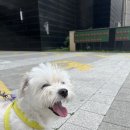 독스힐 이미지