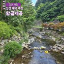 항골계곡 야영장 | [정선 여행] 강원도 아이와 물놀이하기 좋은 계곡 추천 항골계곡