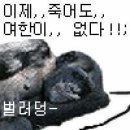 임신마을 이미지