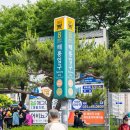 면목동-228 | 중랑 서울장미축제 천만 송이 장미 기본정보 주차 프로그램