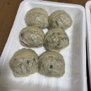 산동웰빙수제만두 이미지