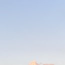 핑크다방 이미지