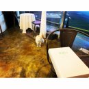 고양이 마을 이미지