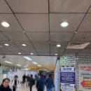 삼성역 피부과 얼굴 리프팅 텐써마 300샷 가격/통증 울쎄라 비교 후기