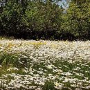 국토보상 행정사 사무소 이미지