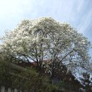 영진1리 이미지