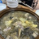 오리한마리 이미지
