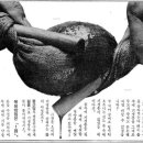 필콤