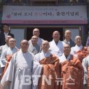 꽃비 이미지