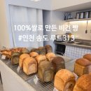 루트313