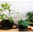 비엔나모텔 이미지