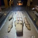 미라농장 | 룩소르·아스완 크루즈 여행 최신 가이드｜입장료, 운영시간, 꿀팁 총정리